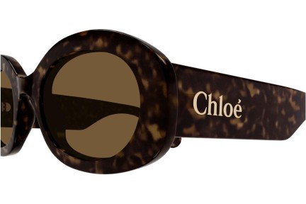 Solglasögon Chloe CH0258S 002 Oval Havana