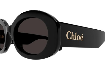 Solglasögon Chloe CH0258S 001 Oval Svart