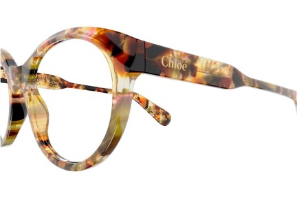 Glasögon Chloe CH0264O 006 Runda Orange