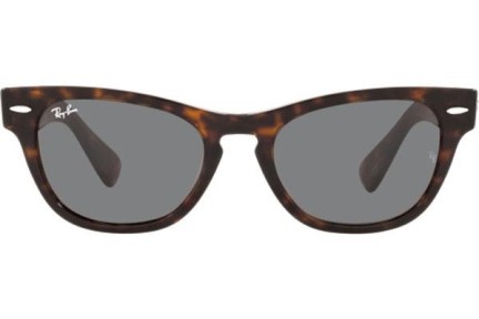 Solglasögon Ray-Ban Laramie RB2201 902/B1 Fyrkantig Havana