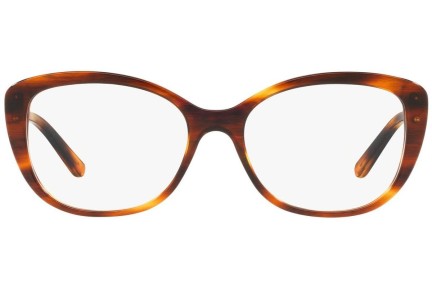 Glasögon Ralph Lauren RL6174 5007 Cat Eye Havana