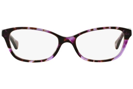 Glasögon Ralph by Ralph Lauren RA7049 1135 Cat Eye Lila