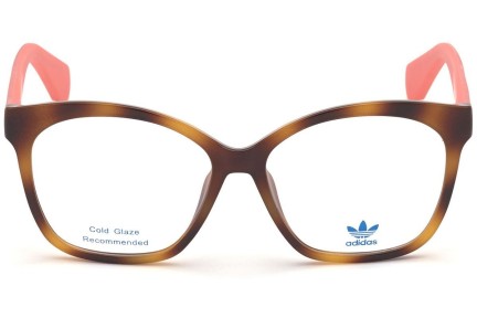 Glasögon Adidas Originals OR5017 053 Cat Eye Havana