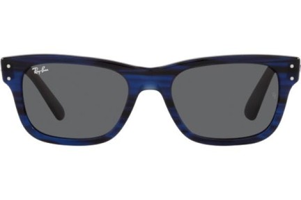 Solglasögon Ray-Ban Mr Burbank RB2283 1339B1 Fyrkantig Blå