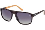 Solglasögon Timberland TB9278 56D Polarized Pilot Havana