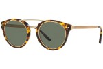 Solglasögon Ralph Lauren RL8210 51345U Runda Havana