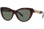 Solglasögon Tiffany & Co. TF4196 80023H Cat Eye Havana