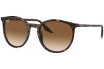 Solglasögon Ray-Ban RB2204 902/51 Runda Havana