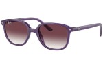 Ray-Ban Junior Junior Leonard RJ9093S 713136