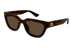 Solglasögon Gucci GG1578S 002 Cat Eye Havana