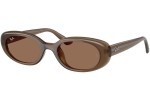 Solglasögon Ray-Ban RB4441D 677973 Oval Brun