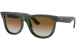 Solglasögon Ray-Ban Wayfarer Reverse RBR0502S 6775CB Fyrkantig Grön