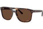 Solglasögon Ray-Ban RB2213CH 902/AN Polarized Fyrkantig Havana