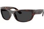 Ray-Ban RB2289 902/48 Polarized