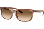 Ray-Ban RB2389 140351