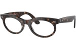 Solglasögon Ray-Ban RB2242 902/GI Browline Havana