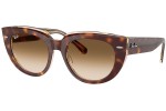 Solglasögon Ray-Ban RB2286 141451 Fyrkantig Havana