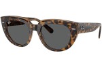 Solglasögon Ray-Ban RB2286 1292B1 Fyrkantig Havana