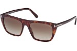 Solglasögon Tom Ford Aslan FT1175 52B Fyrkantig Havana