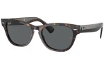 Solglasögon Ray-Ban Laramie RB2201 902/B1 Fyrkantig Havana